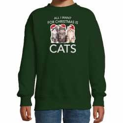Kitten kerst sweater / outfit all i want for christmas is cats groen carnaval kinderen
