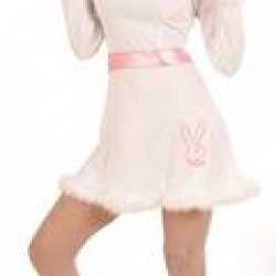Sexy bunny outfit