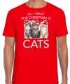 Kitten kerst t shirt outfit all i want for christmas is cats rood carnaval heren
